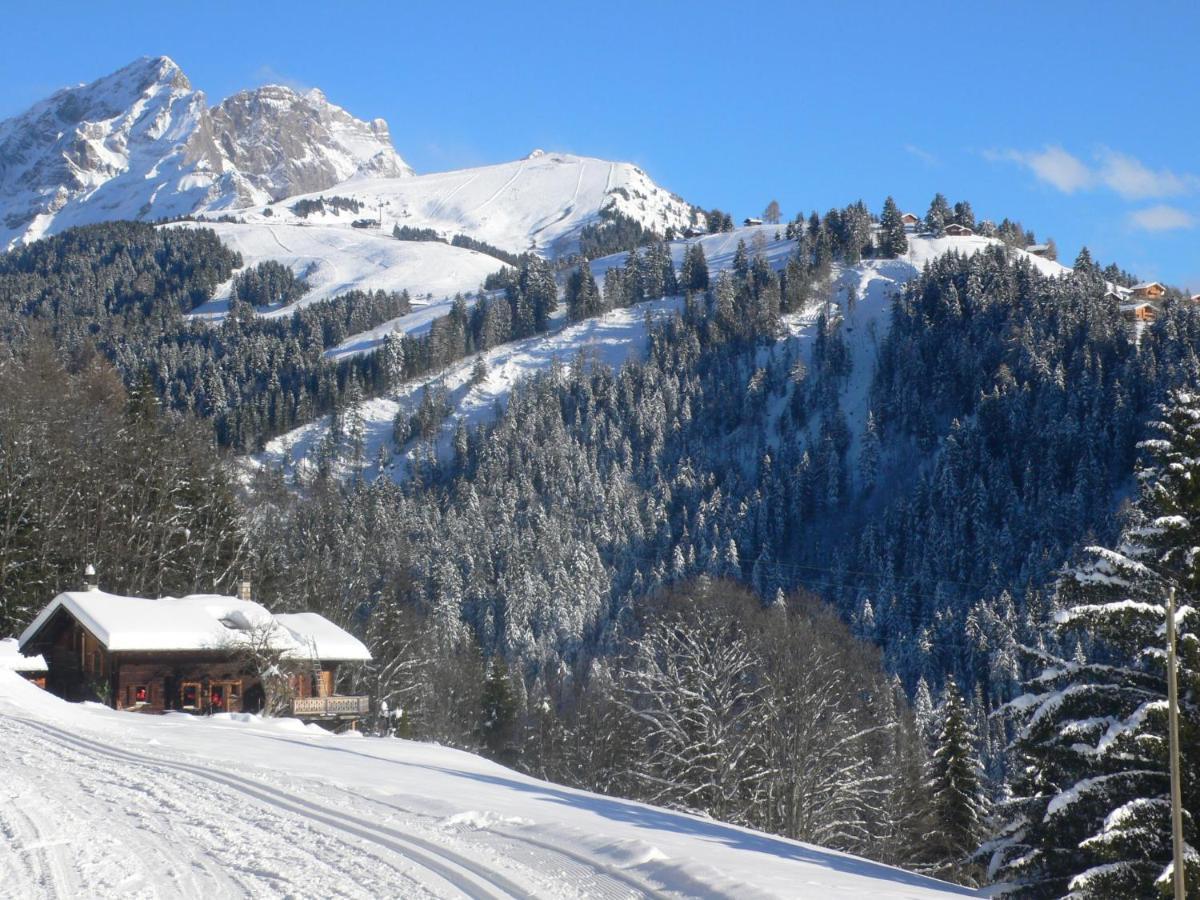 Studio La Berciere Villars-sur-Ollon Esterno foto